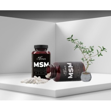 MSM Kapseln