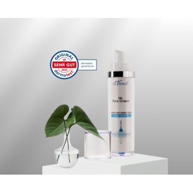 24h Face Cream